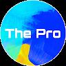The Pro - avatar