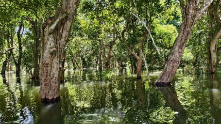 💚Tee🌿ature - avatar